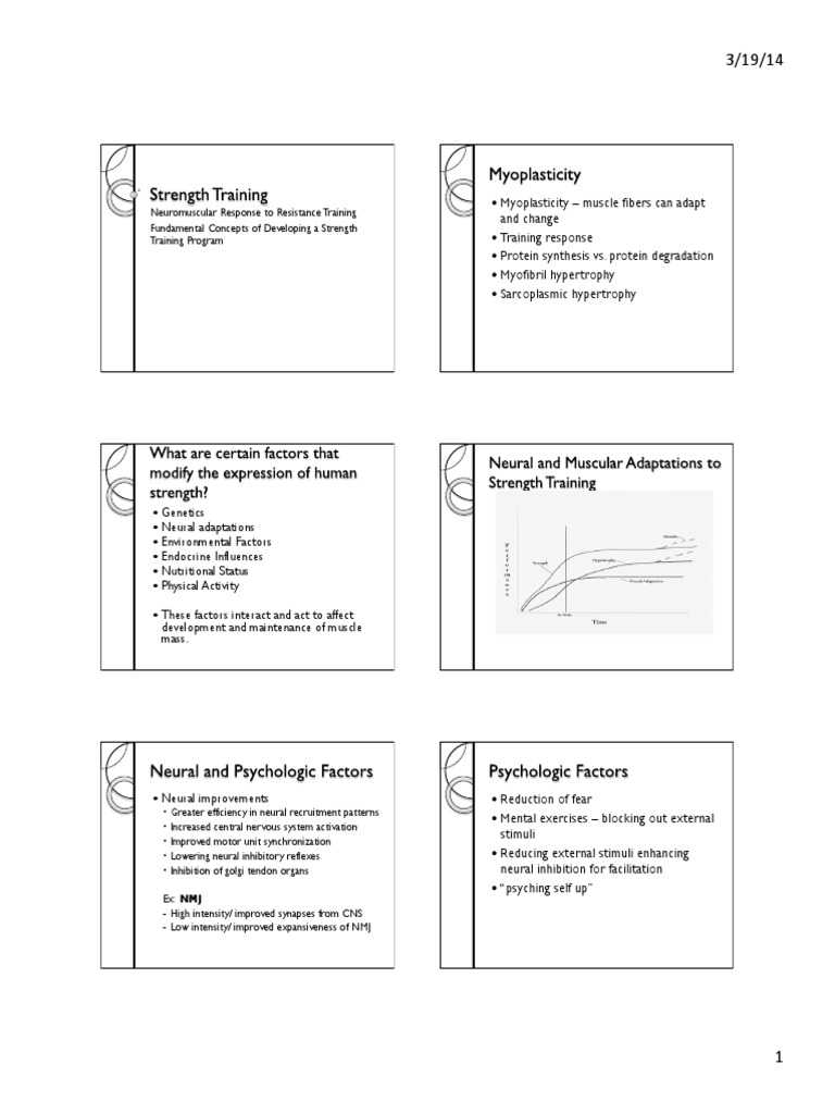 Lecture6Strength Training | PDF | Strength Training | Muscle Contraction