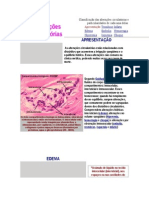 Alterações Circulatórias