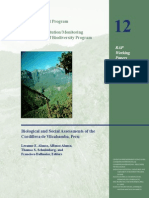 Cordillera Vilcabamba Rap - Working Papers - 12