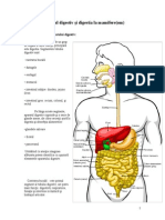 Aparatul Digestiv Şi Digestia La Mamifere