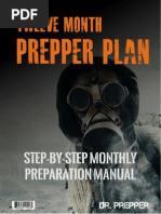 Download Twelve Month Prepper Plan by PrepperToday SN222089709 doc pdf