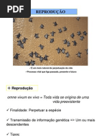 Modelo de Carta de Pedido de Apoio  Relaçãoual 