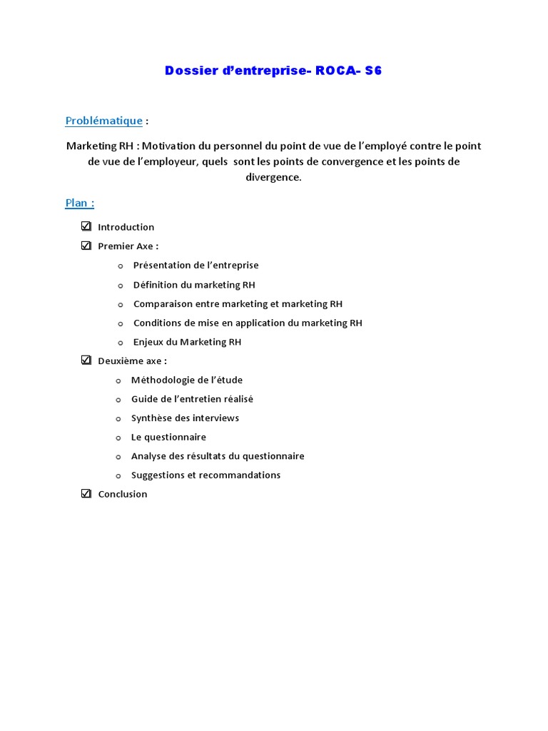 Plan Travail Dossier Entreprise S6