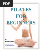 Download Pilates for Beginners by beadams SN22211777 doc pdf