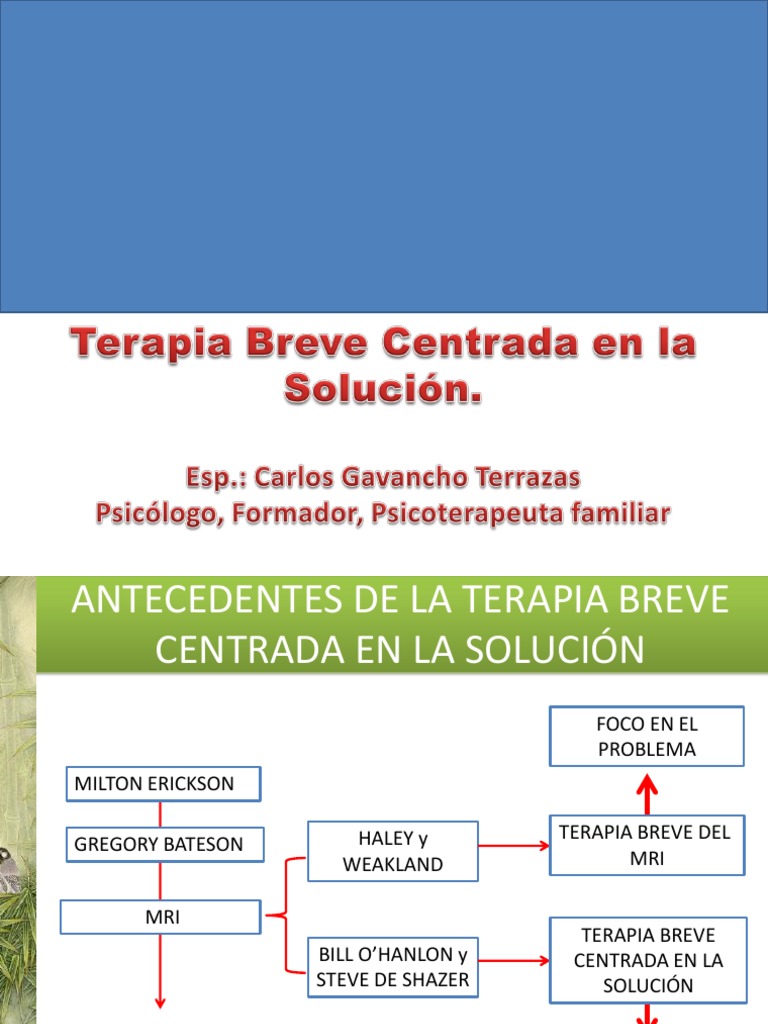 Modelos de Intervencion Tbsc