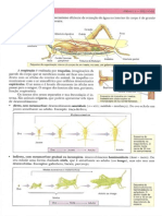 326 Biologia Vol Único