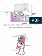 Slide_1neonate 