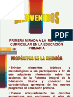 Diapositivas Reforma Integral Primaria 2009