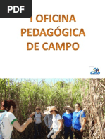 OFICINA PEDAGÓGICA CAMPAL