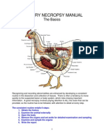 Poultry Necropsy Manual PDF