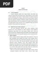 Download Coating membran by Dianita Citra Dewi SN222186667 doc pdf