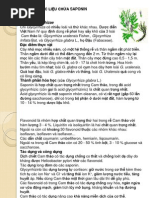 Download Duoc Lieu Chua Saponin by c con SN222206031 doc pdf