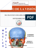 PDF Organo de La Vision