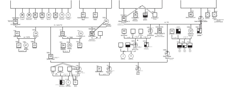 Zeitler Family Tree and History | PDF | Psychiatric Diseases And ...