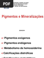 Pigmentos e Mineralizacoes Prof Rafael
