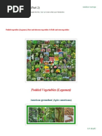 Download Culinary Garden by Sundara Veerraju SN222275686 doc pdf