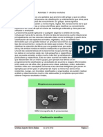 La clasificación taxonómica de Streptococcus pneumoniae