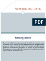 Fermentacion Del Cafe