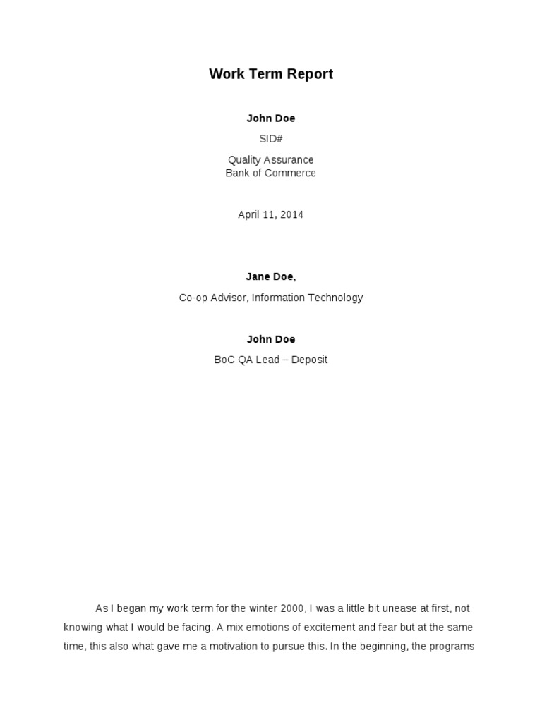 Work Term Report | PDF