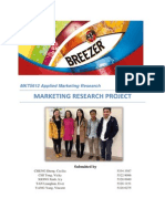 Breezer Report Final