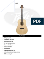 Model: DW-2 Acoustic: Features
