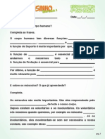 Estudo Do Meio 4 Ano Ficha 1