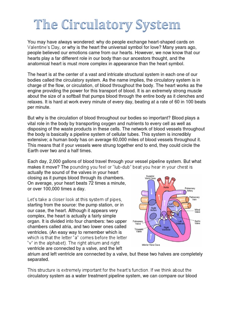 the-circulatory-system-heart-circulatory-system