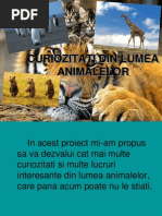 Animale Ocrotite In Romania