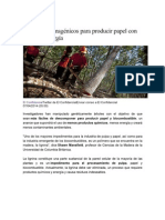 Árboles transgénicos para producir papel con menos energía.pdf