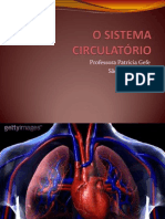 O SISTEMA Circulatório