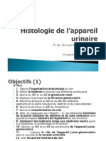 2014-Histologie de L_appareil UrinaireP1-2-3 [Mode de Compatibilité]