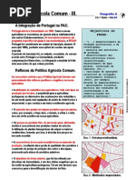 Política Agrícola Comum (11.º) (3)