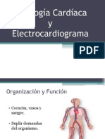 Fisiología Cardíaca