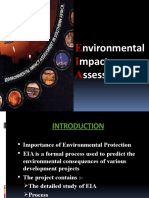 Environmental Impact Assessment