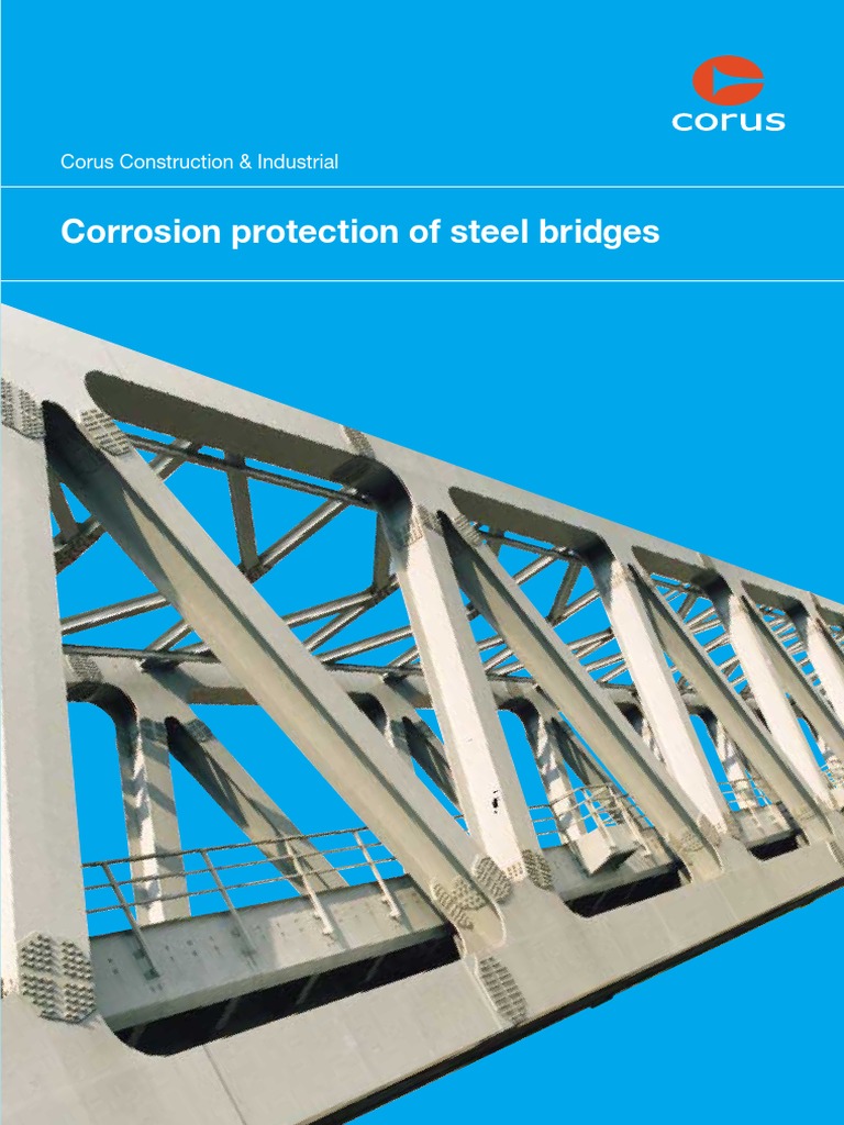 Protection of Steel Bridges | PDF