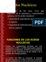 Acidos Nucleicos