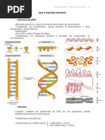 DNA e Síntese Protéica.pdf