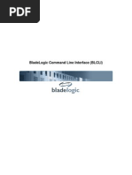 Best Practice - BLCLI [Internal] v3.2005