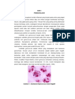 Laporan Kasus-Urethritis Gonorrhea