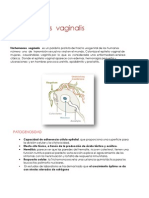 T.vaginalis: causante de vaginitis