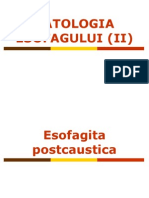 Patologia esofagului