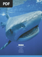 Download The End of the Line Wildaid by Global Wildlife Warriors SN22261709 doc pdf