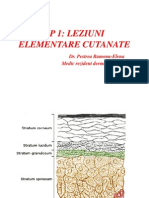 Lp1 Leziuni Elementare Cutanate