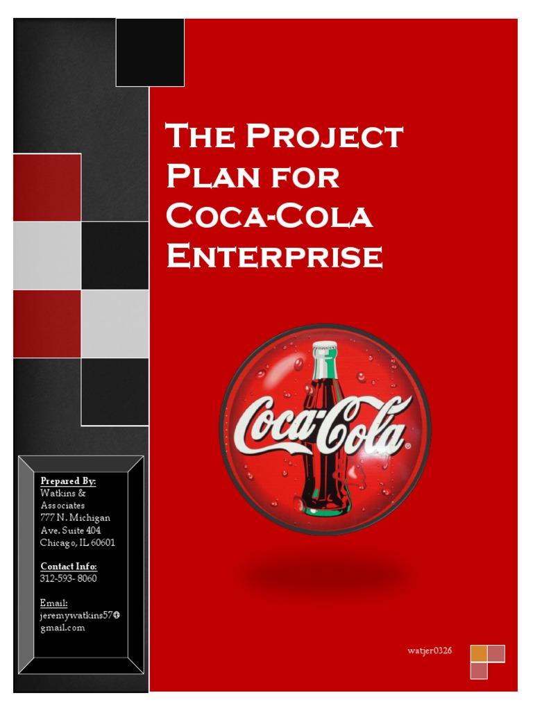 Coca Cola Project Plan Pdf Computer Network Customer Relationship