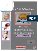 Detyra Projektuese - Leukemia II