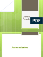 Canon Forestal Presentacion v2