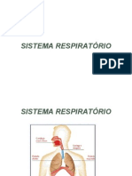 Aulasistemarespiratorio