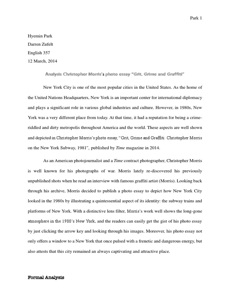 Philosophy argumentative essay picture