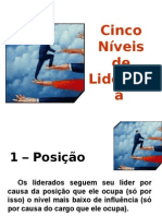 CincoNíveisdeLiderança