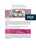 LA MAGIA DEL MUNDO CAPITONÊ-Fofoca-ondas(5).pdf
